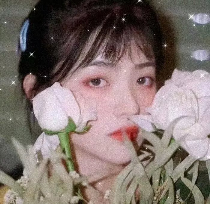 冰雪间谍